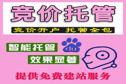 行业领先企业的SEM竞价代运营成功案例揭秘